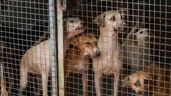 PTI08-11-2025-000422B-0_1755065823298_1755065885292_1755097131458