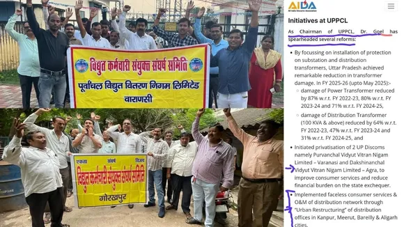 vertical sysem electricity privatisation