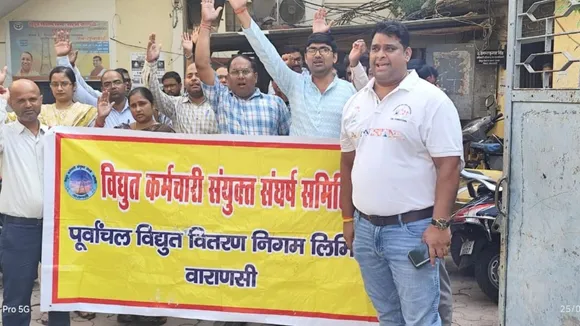 electricity privatisation protest