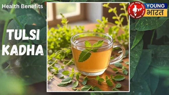 Tulsi Kadha
