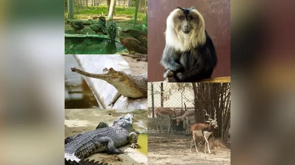 lucknow zoo