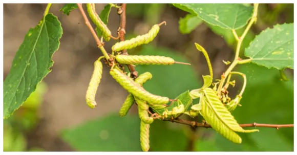 BeFunky-collage - 2025-10-12T170138.245