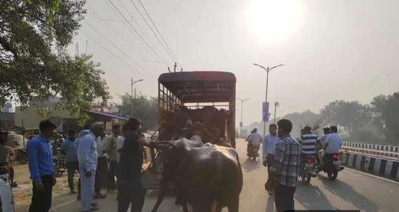 Screenshot_2025-10-16-19-20-14-50_6012fa4d4ddec268fc5c7112cbb265e7