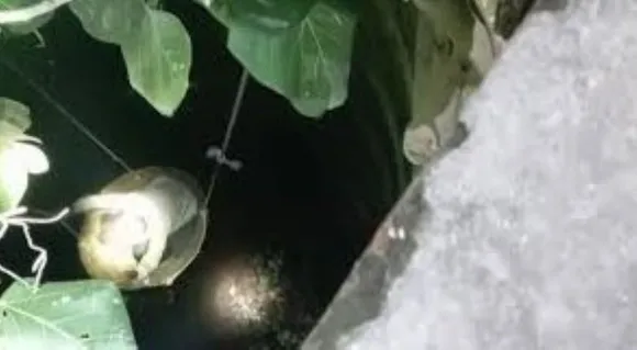 वाईबीएन