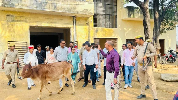 डीएम ने आवारा पशु घूमते हुए पाए जाने पर होगी सख्त कार्रवाई