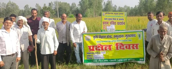 वाईबीएन