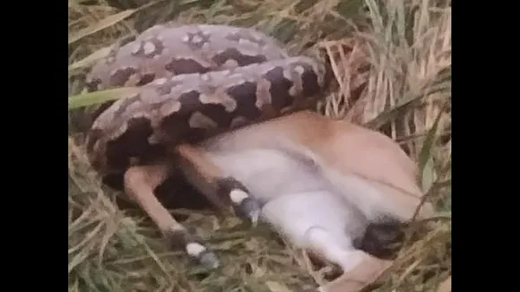 66d1adab-eb01-466b-a122-ba6a9ec77abe1761459170790-_1761462030 (1)