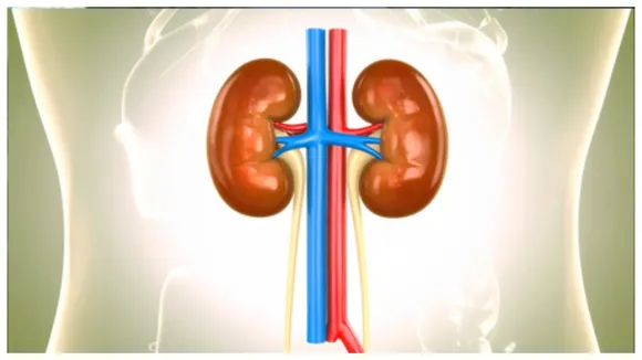 BeFunky-collage - 2025-10-26T161217.207