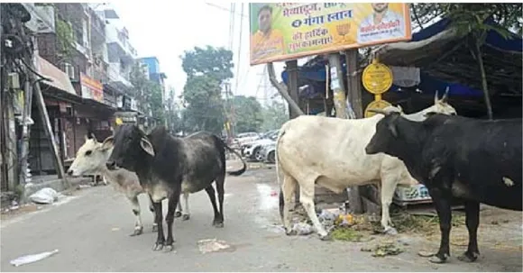 Screenshot_2025_1028_145427