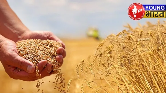 UP Seed Subsidy Scheme