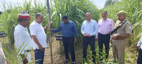 प्रगतिशील कृषक कौशल मिश्रा के पफार्म में गन्ना खेती का निरीक्षण करते एडीएम व डीसीओ