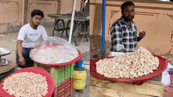 boiled water chestnuts