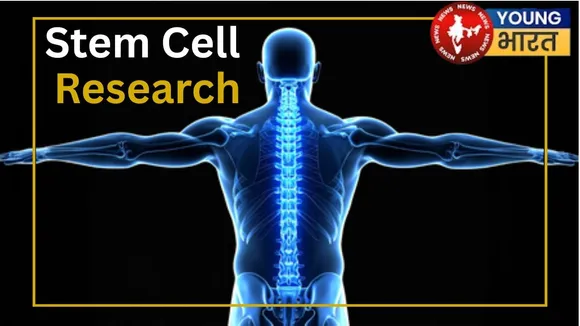 Stem cell research