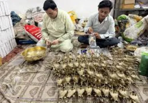 वाईबीएन