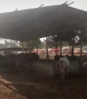 Screenshot_2025-11-13-17-03-41-82_5600c4be318a3a39d7eb640dd568d217~2