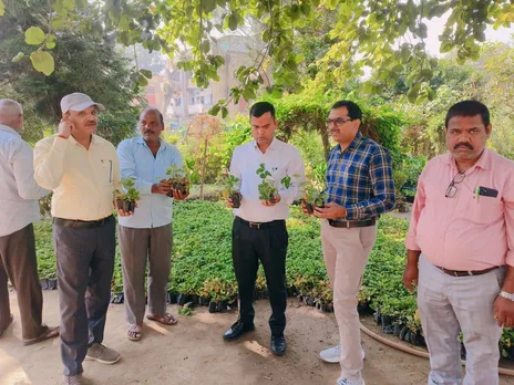 स्ट्राबेरी पौध के सत्यापन के दौरान पौधे देखते कृषि विभाग के अधिकारी