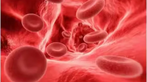 Uttar Pradesh leads in Anaemia Free India Campaign