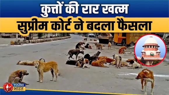 Stray Dogs | Supreme Court ने कहा - नसबंदी के बाद अपनी जगह पर रहेंगे कुत्ते | Youngbharat News
