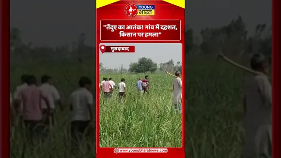 तेंदुए का आतंक ! गांव में दहशत, किसान पर हमला | YOUNG Bharat News
