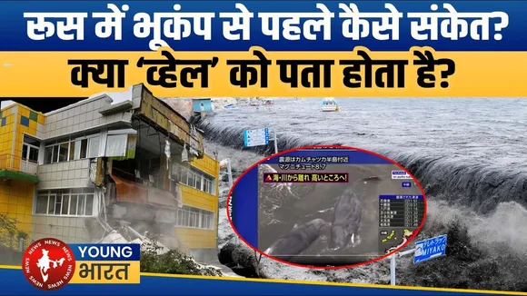 Russia EarthQuake: रूस भूकंप का 'ब्लू व्हेल' पहले कैसे मिलते हैं संकेत? जानिए | YOUNG Bharat News