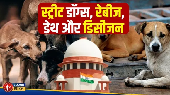 8 हफ़्तों में सड़क से गायब होंगे आवारा कुत्ते? Supreme Court  का सख़्त फरमान | YOUNG Bharat News