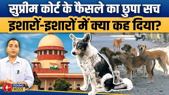 Stray dogs SC verdict | Supreme Court के फैसले का छुपा सच | इशारों-इशारों में क्या कह दिया?
