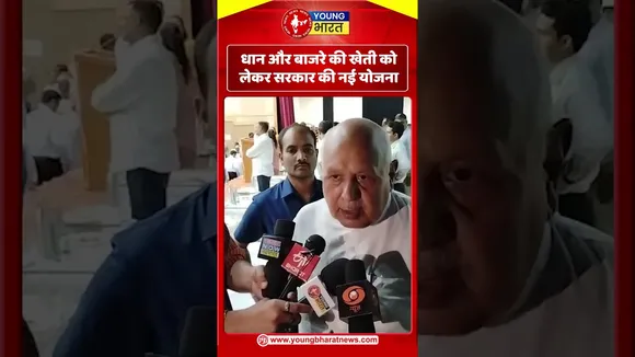 धान और बाजरे की खेती को लेकर सरकार की नई योजना | YOUNG Bharat  News