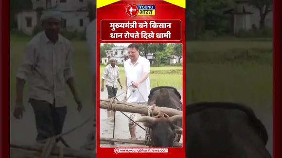 मुख्यमंत्री बने किसान, धान रोपते दिखे धामी | YOUNG Bharat News