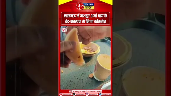 लखनऊ में मशहूर शर्मा चाय के बंद-मक्खन में मिला कॉकरोच, वीड‍ियो वायरल