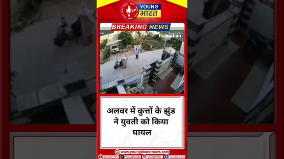 अलवर में कुत्तों के झुंड ने युवती को किया घायल |Rajasthan | YOUNG Bharat News