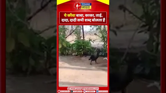बाबा-काका