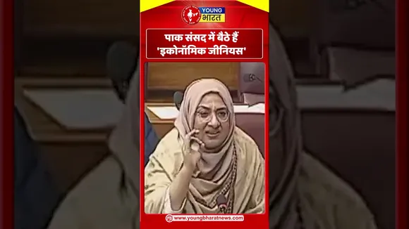 Pak  संसद में बैठे हैं 'इकोनॉमिक जीनियस' | YOUNG Bharat News