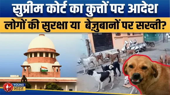 Newsroom : कुत्तों पर Supreme आदेश, लोगों की सुरक्षा या  बेज़ुबानों पर सख्ती? | YOUNG Bharat News