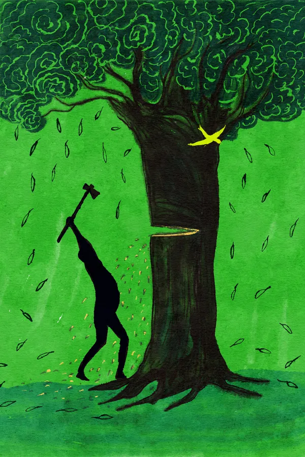 Environment Day Feature