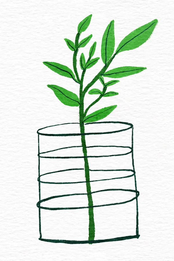 Environment Day Feature