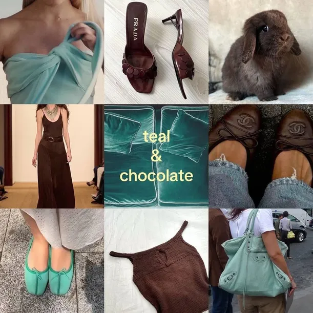 instasave.website_583723277_18103382713737650_3296245625598418842_n