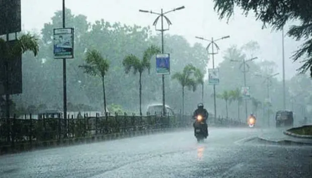 Madhya Pradesh Weather Updates Monsoon Active Bhopal Indore Jabalpur heavy  rain warning mpap | MP Monsoon: मध्य प्रदेश में रफ्तार पकड़ रहा मानसून, इन  जिलों में भारी बारिश की चेतावनी | Hindi