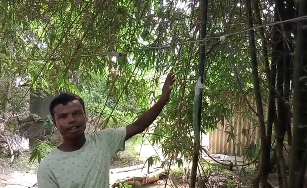 WhatsApp Image 2025-10-09 at 1.52.42 PM