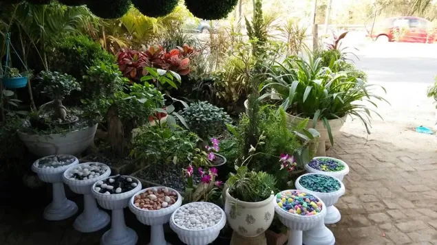 delhiflatdecor