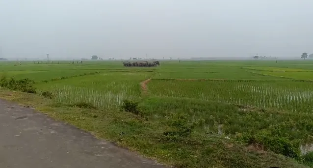 Screenshot 2025-08-12 154852