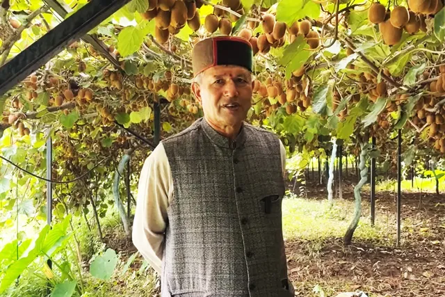 Pratap Bharnal at his kiwi orchard in Solan, Himachal Pradesh