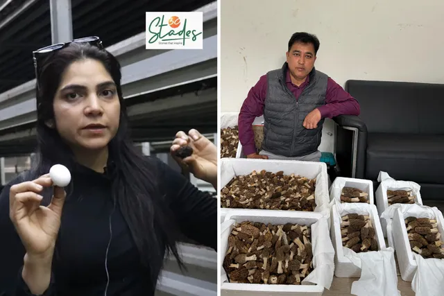Poonam Sharma and Naveen Patwal sell mushrooms under the Planet Mushroom brand 