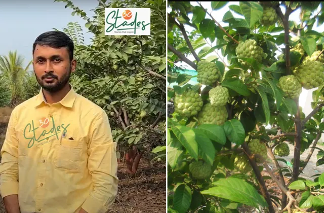 Shridhar-Divekar-custard-apple-lead-30stades