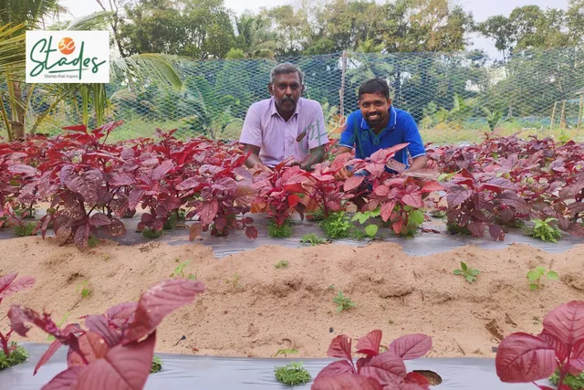 why-organic-farming-profitable-rajesh-renjith-alleppy-30stades