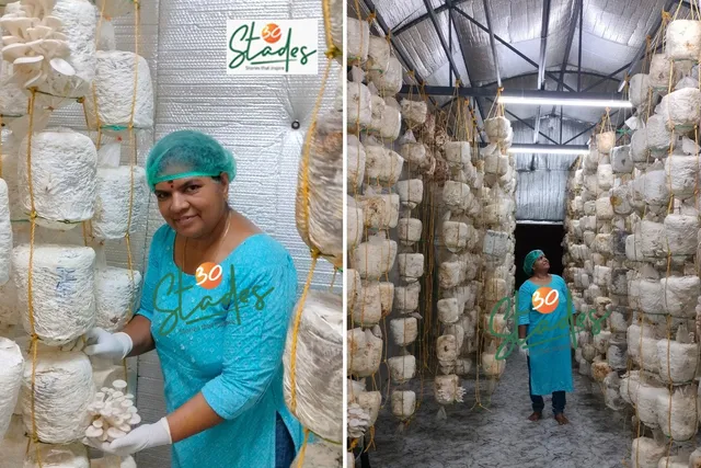 moonkoon-mushroom-nurse-kerala-lead-30stades