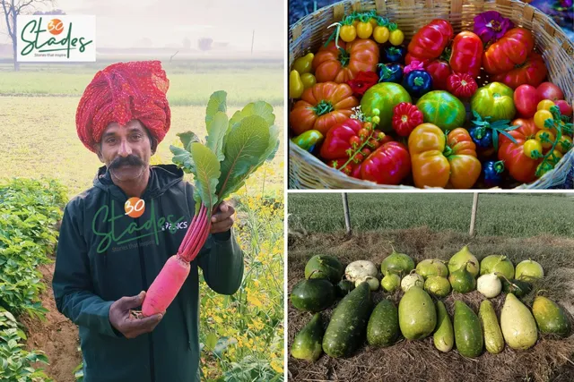 lalu-seed-saver-haryana-lead-30stades