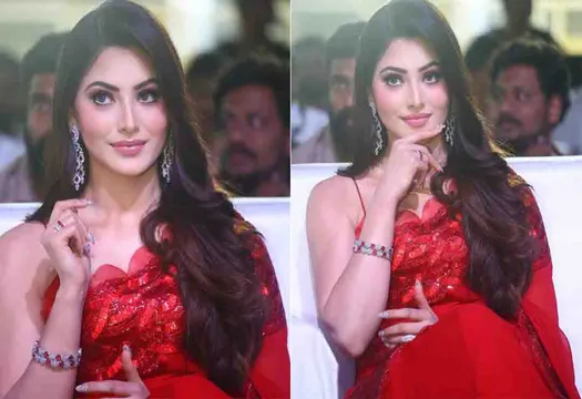 <strong>Urvashi Rautela’s and Megastar Chiranjeevi Blockbuster film Waltair Veerayya is confirmed to release on Netflix & creates a mass rampage at the box office</strong>