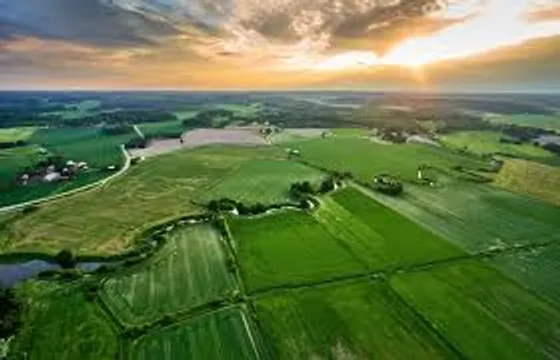 Surat firm allegedly created 135 fake property cards for farmer’s land in Dumas