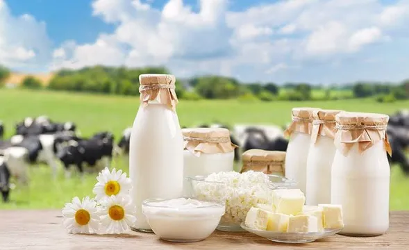 Hatsun Agro acquires Milk Mantra for Rs 233 crore, expands presence in East