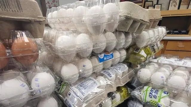 29% rise in egg detentions as CBP targets illegal smuggling from Mexico